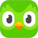 在线视频播放器